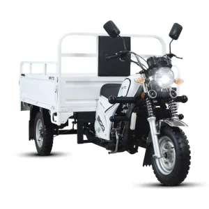 CORSEL 300