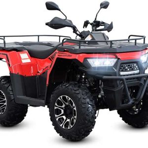REX 350 4x4 EFI